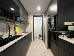 Optima @ Tanah Merah (D16), Condominium #462114221